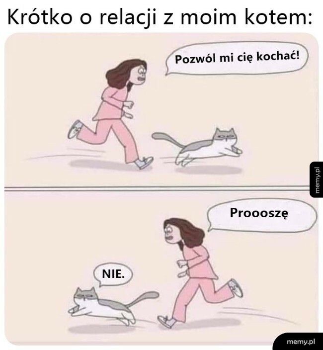 Relacje z kotem