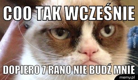 Coo tak wcześnie Dopiero 7 rano nie budź mnie