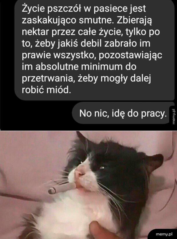 Smutne życie