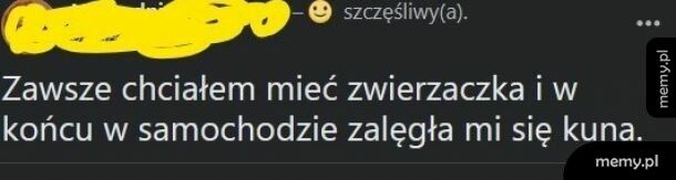 Marzenia się spełniają