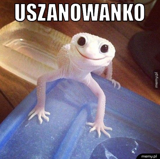 Uszanowanko     
