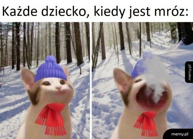 I nie tylko dziecko