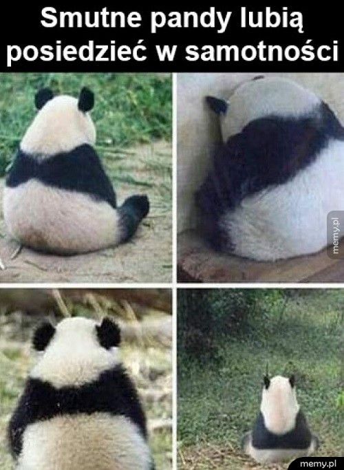 Smutne pandy