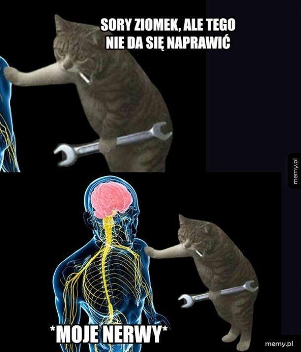 Nie da się