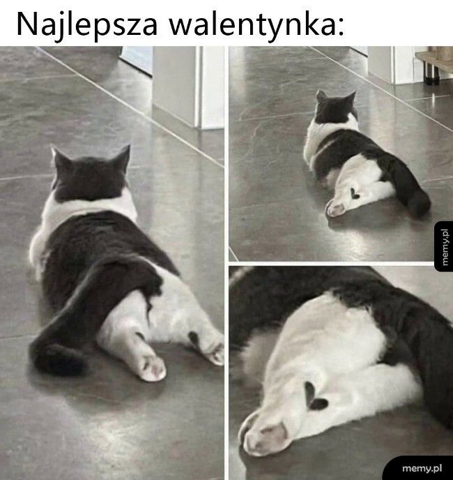 Walentynka