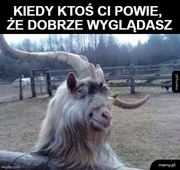 *Zakłopotane kozie dźwięki*