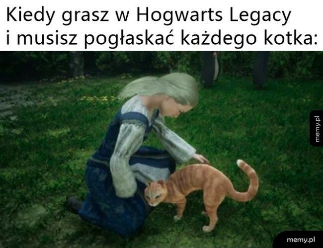 Kociarze i Hogwarts Legacy
