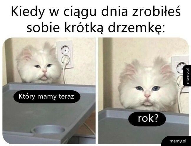 Jak to możliwe - Memy.pl