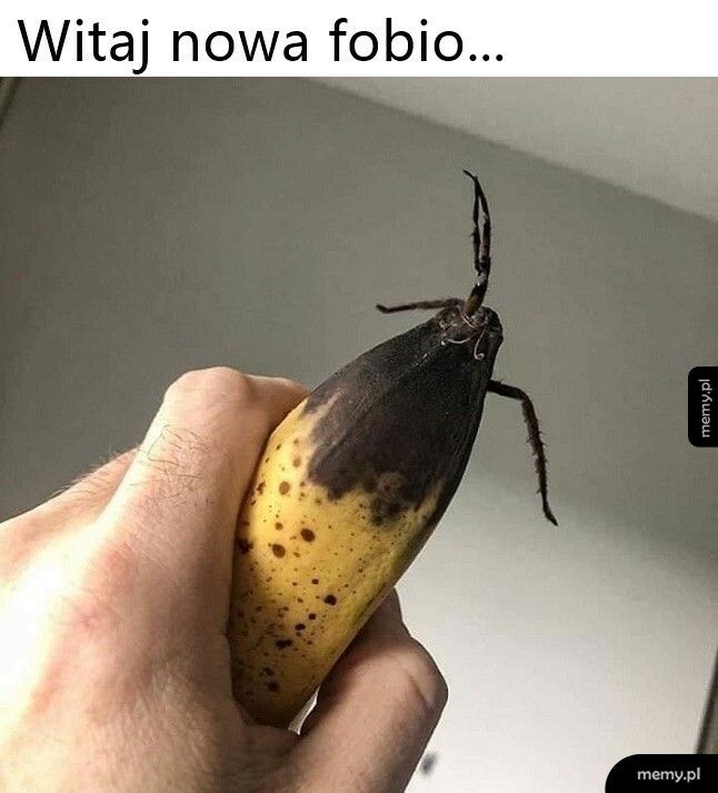 Nigdy więcej bananów