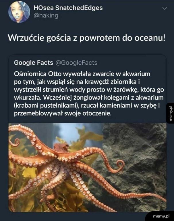 Ewidentnie mu się nie podoba