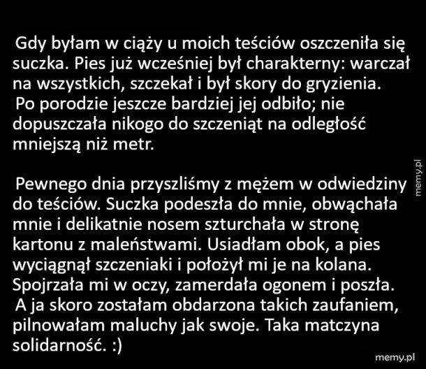 Matczyna solidarność