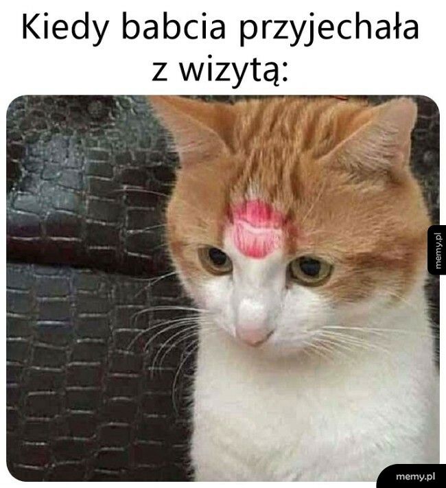 Wizyta babci