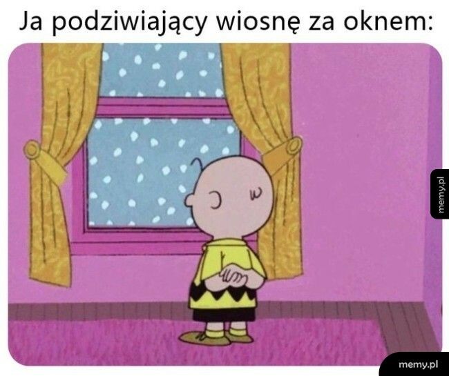 Wiosna za oknem