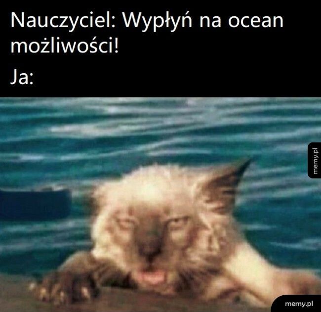 Ocean możliwości