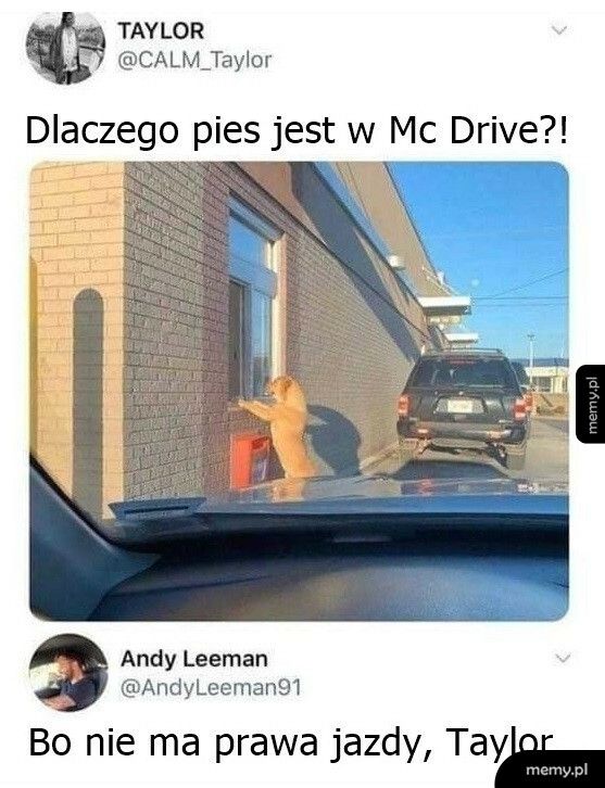 Pies w Mc Drive