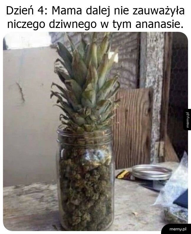 Ziołowy ananas