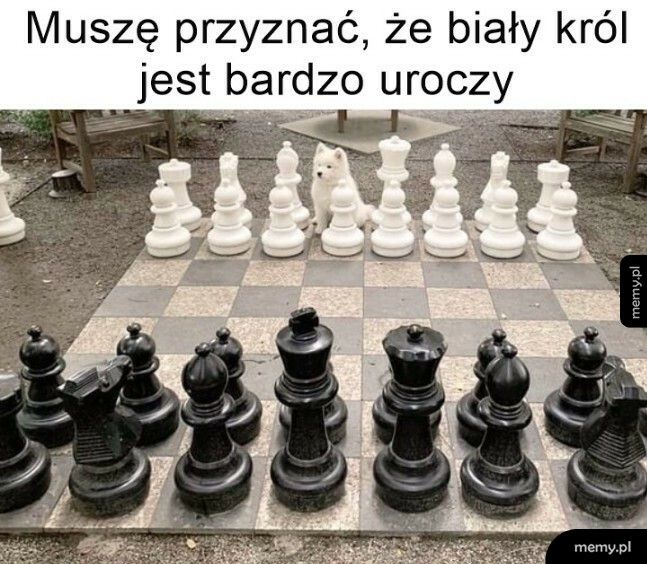 Biały król