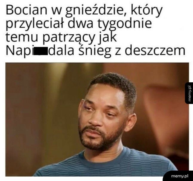 Bociany po przylocie do Polski