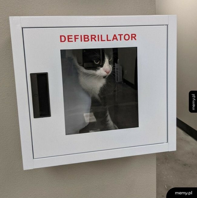 Defibrylator