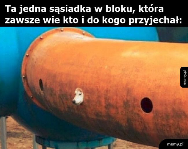 Ta jedna sąsiadka