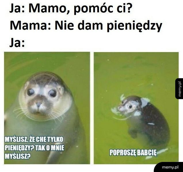 Z babcią lepiej pójdzie