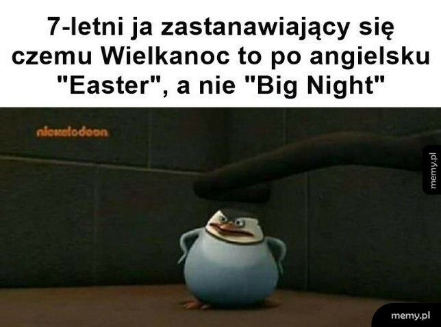 Jak się poszuka, to się znajdzie