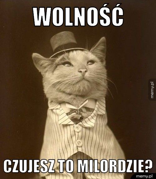 Wolność Czujesz to milordzie?