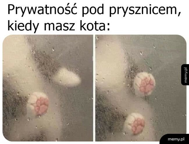 Prywatność pod prysznicem