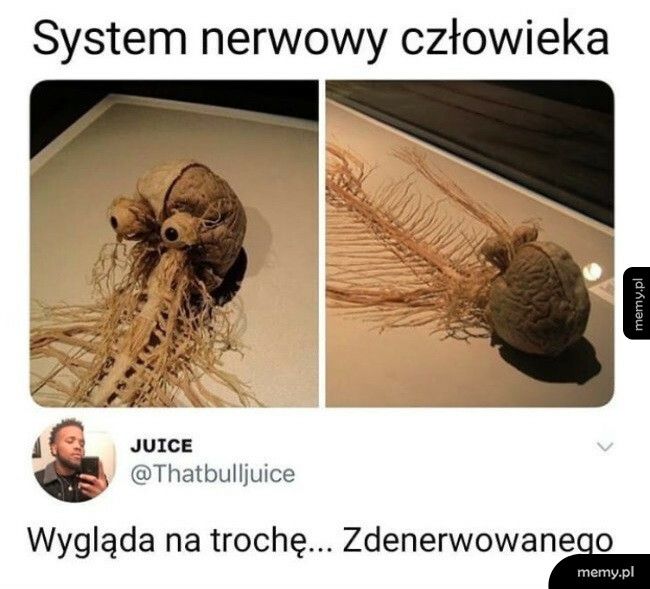 Odrobinkę