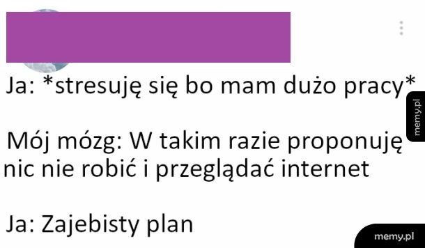 Świetny plan