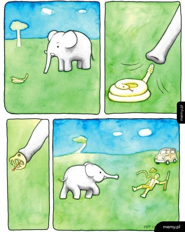 Przebiegły słonik