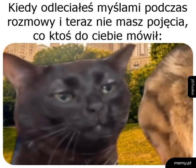 Możesz powtórzyć?