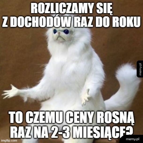 Kot rozliczeniowy