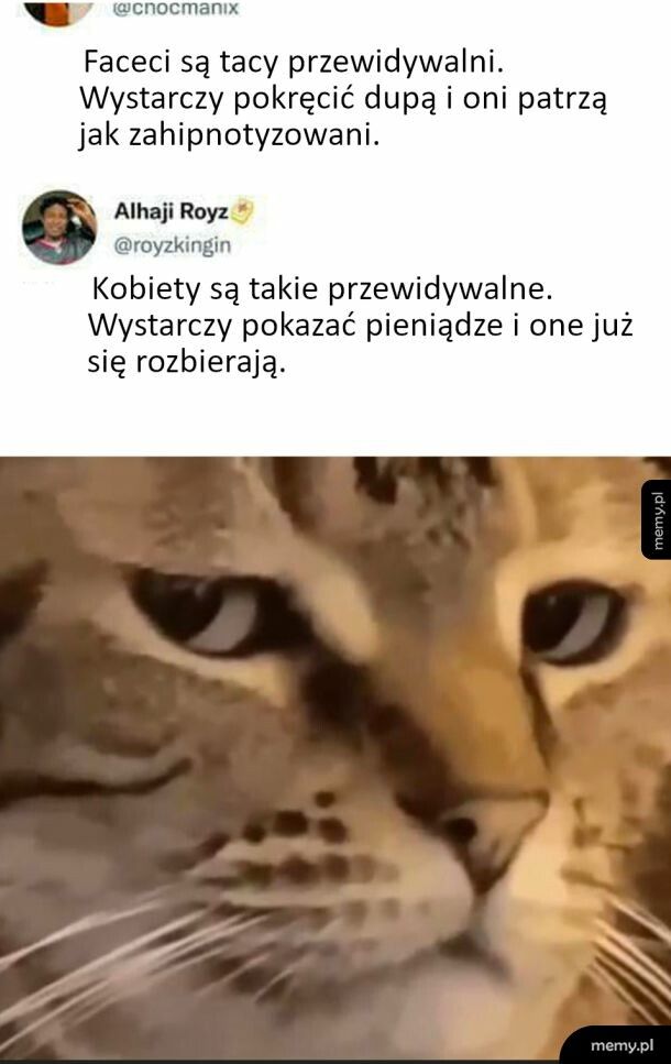 Przewidywalność