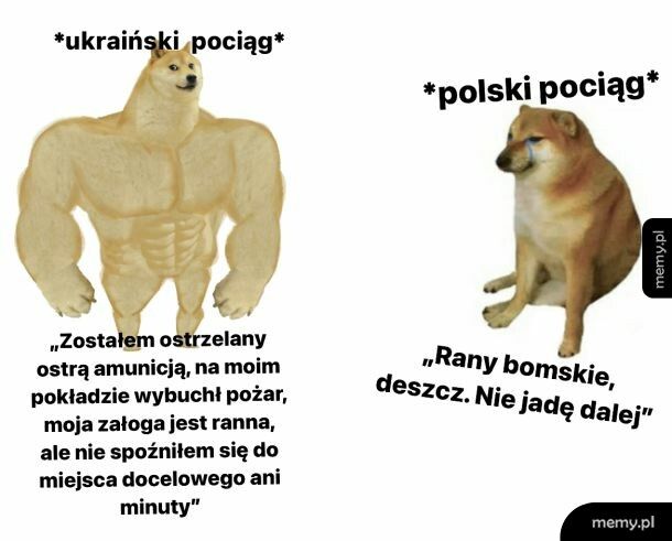 Przynajmniej jeżdżą… czasami