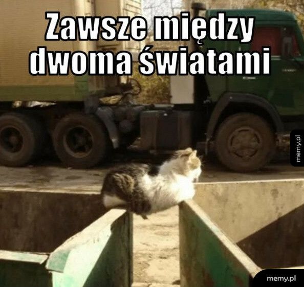 Między dwoma światami