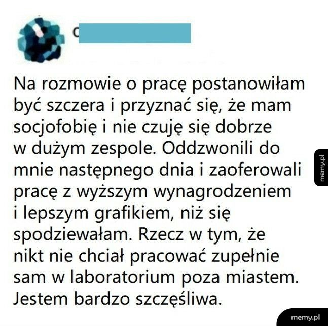 Szczerość na rozmowie o pracę