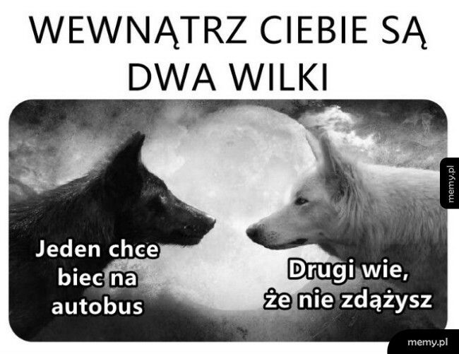 Dwa wilki