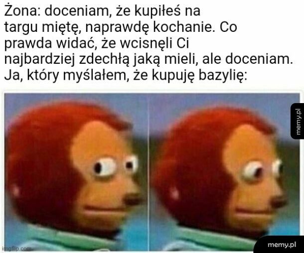 Zioło