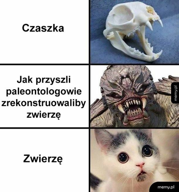 Rekonstrukcja zwierząt