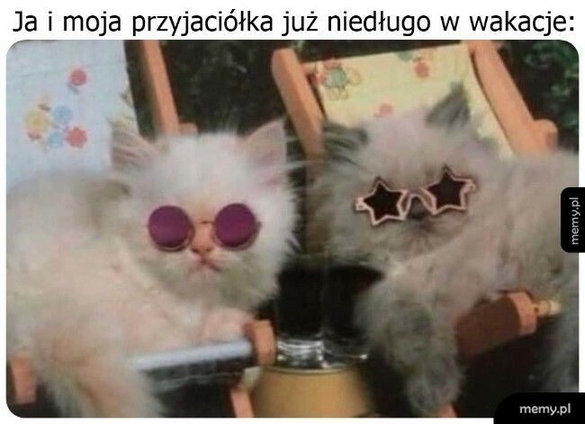 Coraz bliżej wyjazdu