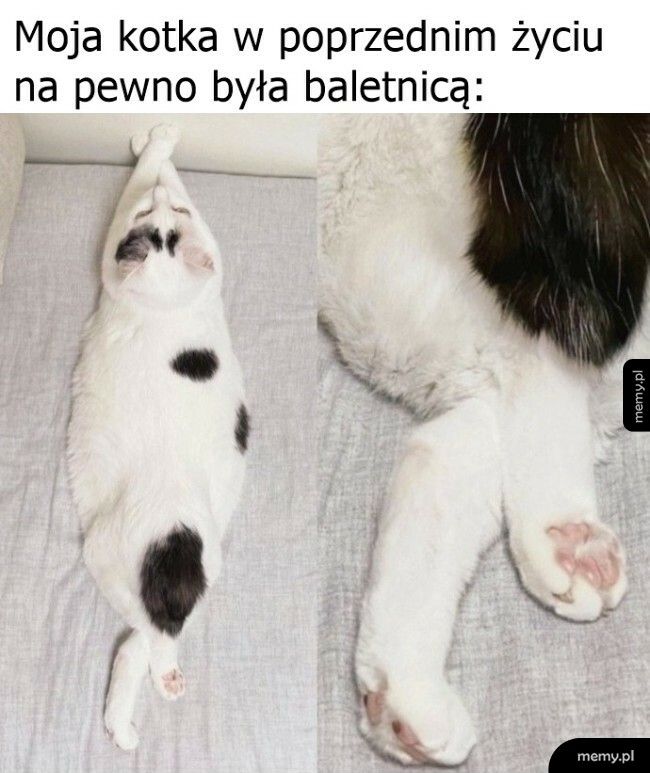 Baletnica