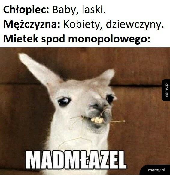 Mietek spod monopolowego