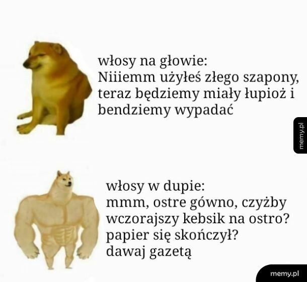 Włosy tu i tam