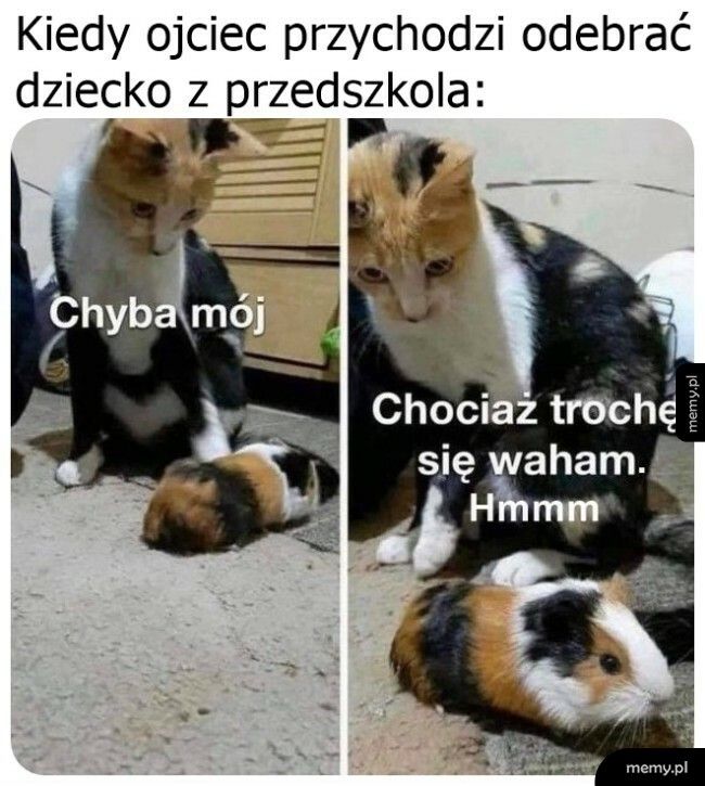 Zagwozdka