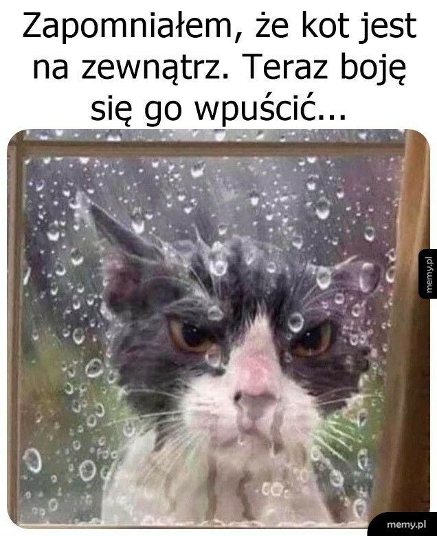 A chcesz pazurem?!