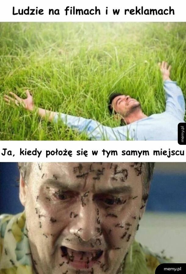 Rzeczywistość