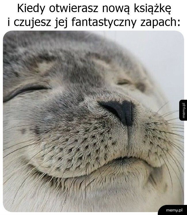 Zapach nowej książki