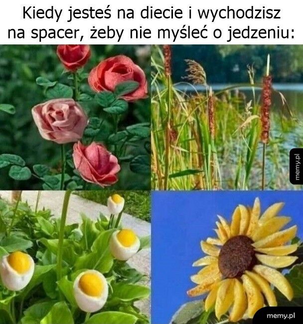 Plan się nie powiódł