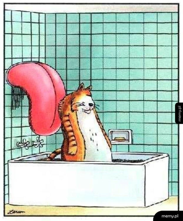 Prysznic dla kota